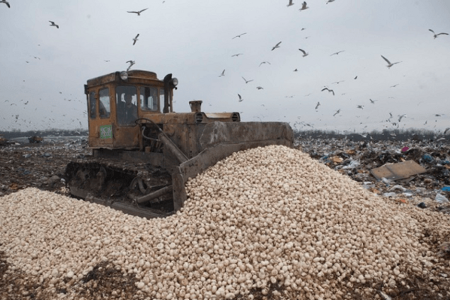 Месть Кремля: в России уничтожили 18 тонн грибов из Польши