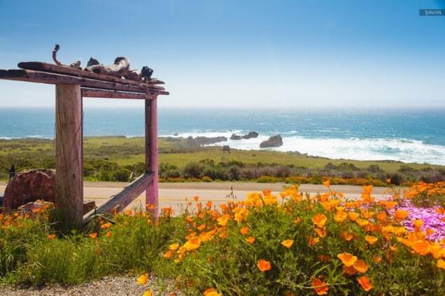 Санта-Барбара и цветущее побережье Калифорнии: красочные фото