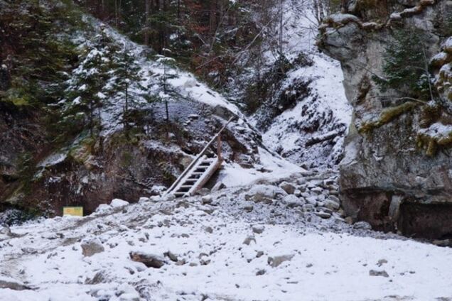 На Буковине засыпали уникальный водопад, превратив его в дорогу для лесовозов - СМИ