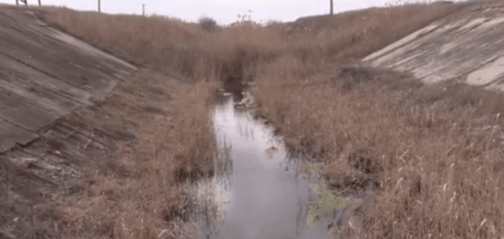 Без води немає життя: в Криму розповіли, як без України 'засох' агробізнес. Відеофакт
