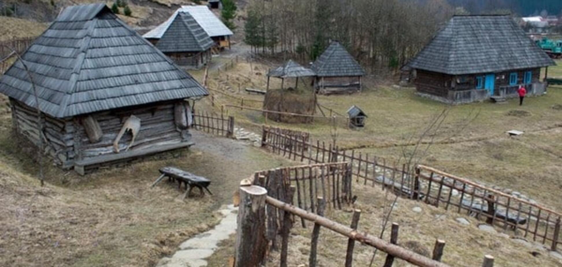 В Карпатах зацвели крокусы: опубликованы фото