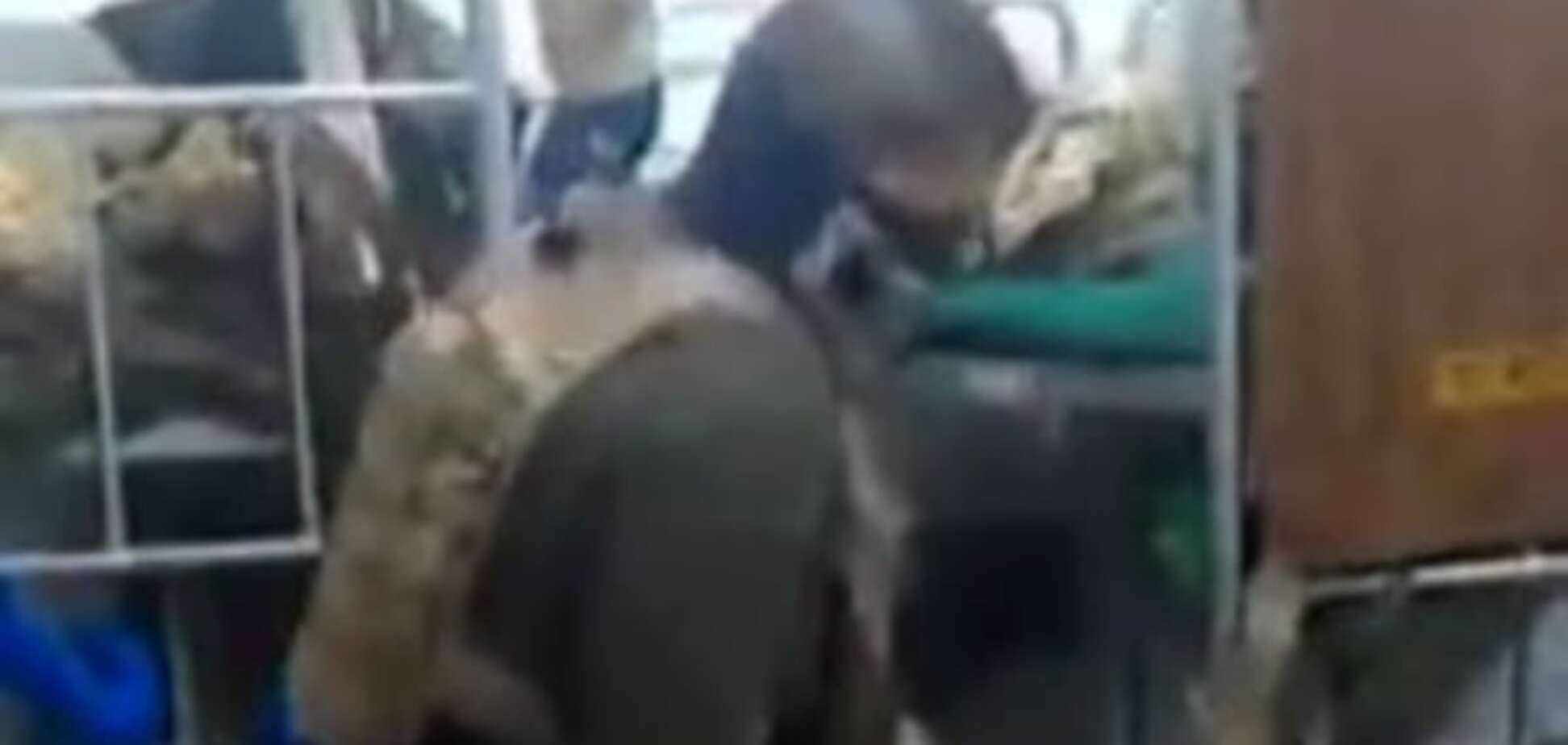 'Пока Путин не вводит войска': соцсети взорвало видео зажигательного танца бойца АТО