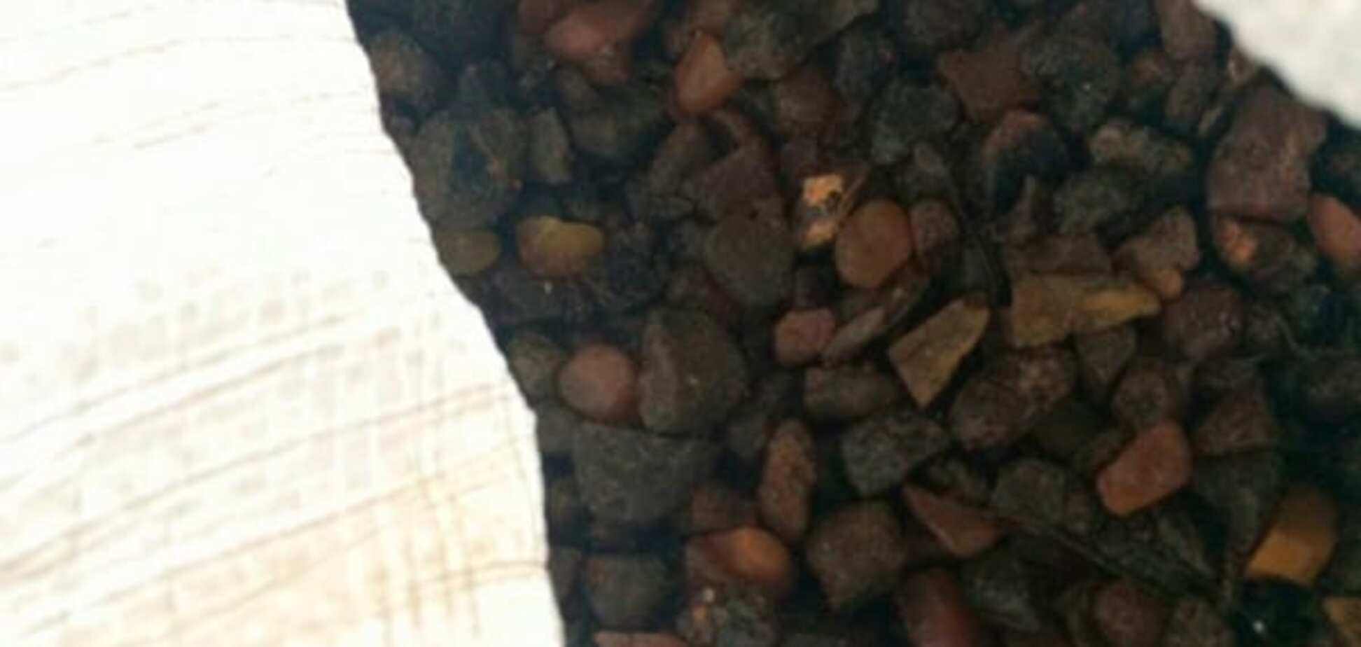 Дорогий 'щебінь': на Житомирщині перевізник бурштину погорів через порушення ПДР