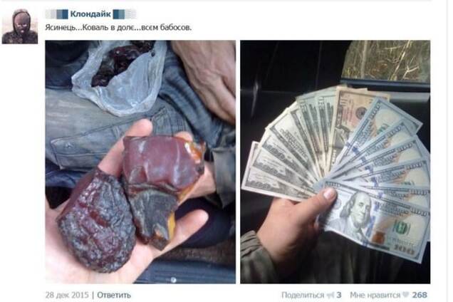 'Янтарная лихорадка' на Полесье: нужны механизированные бригады и комендантский час — Синицын