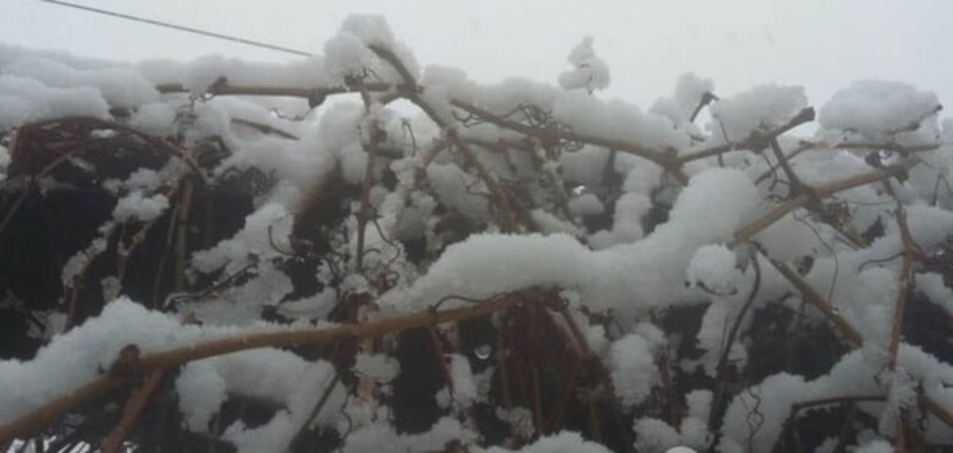 Снежный март: в Киеве ухудшится погода
