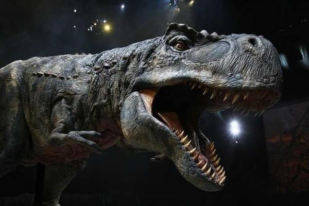 У США знайшли останки вагітного тиранозавра