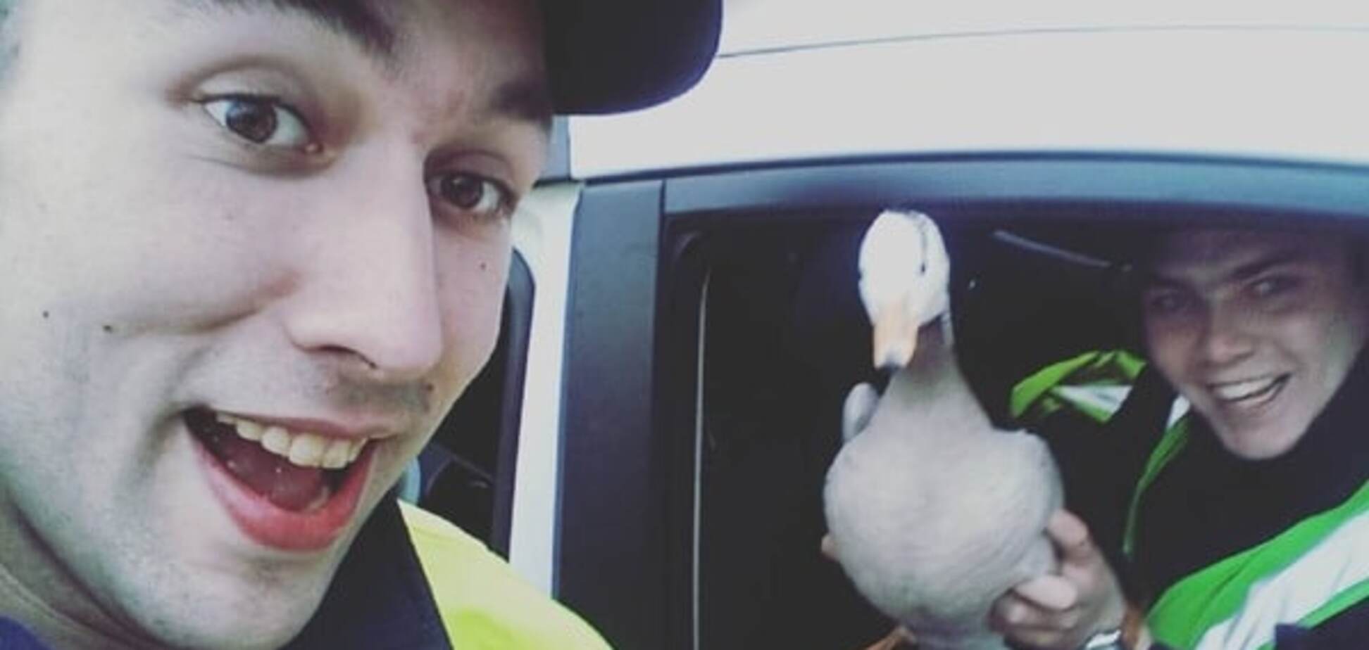 В Харькове три патрульные машины полиции гонялись за гусем: фотофакт