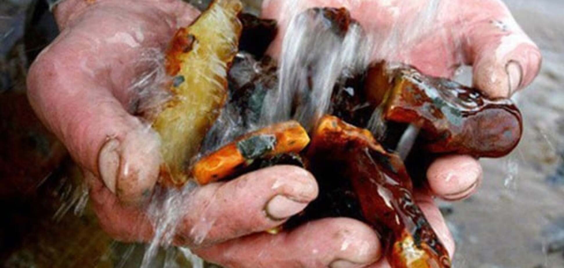 Нардеп от партии Ляшко обратился в комитет ВР из-за 'янтарной мафии'