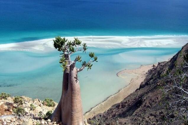 Остров Сокотра