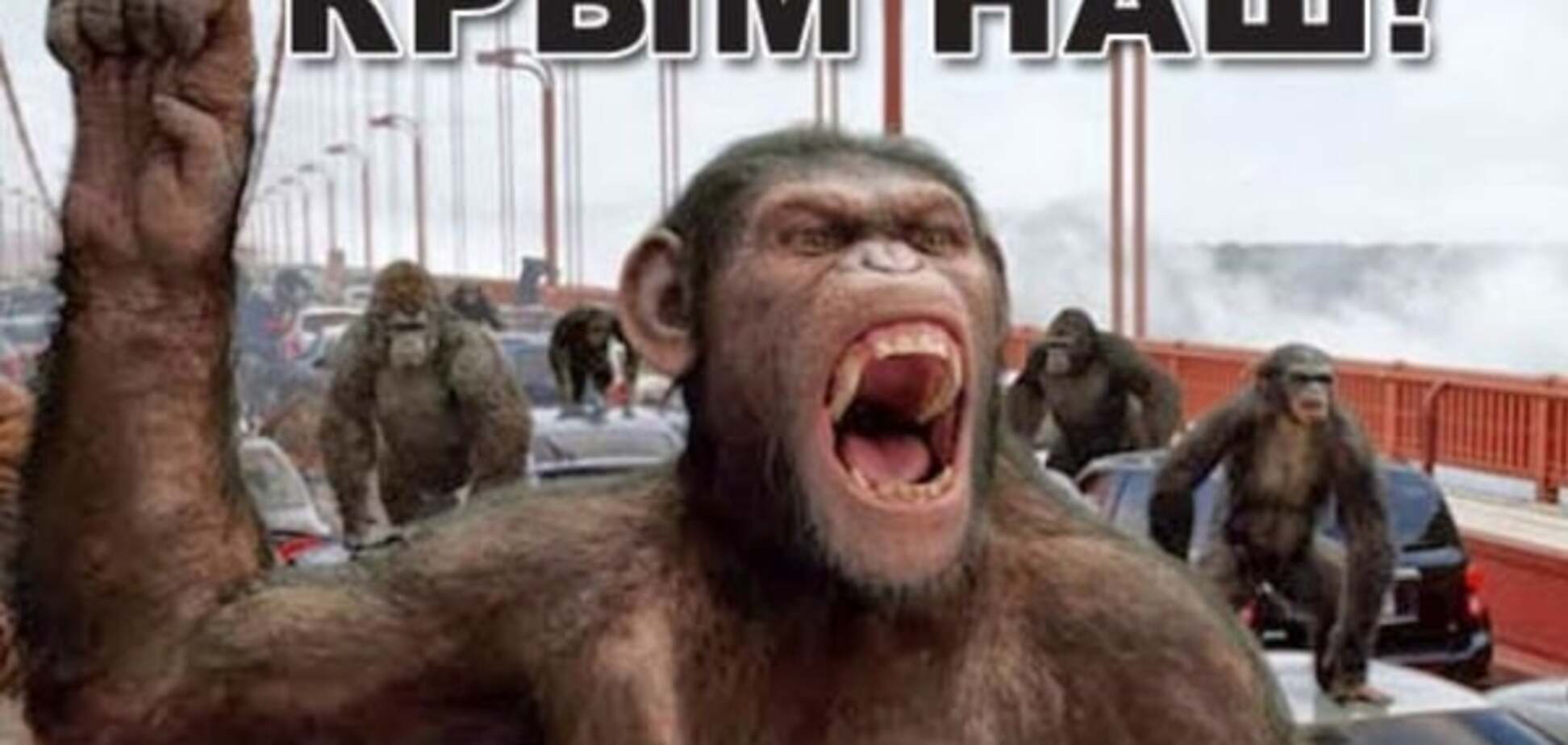 'Крым' как ругательство