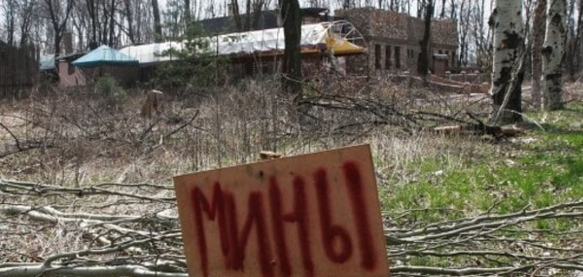 На разминирование Донбасса нужно 20 лет - Селезнев