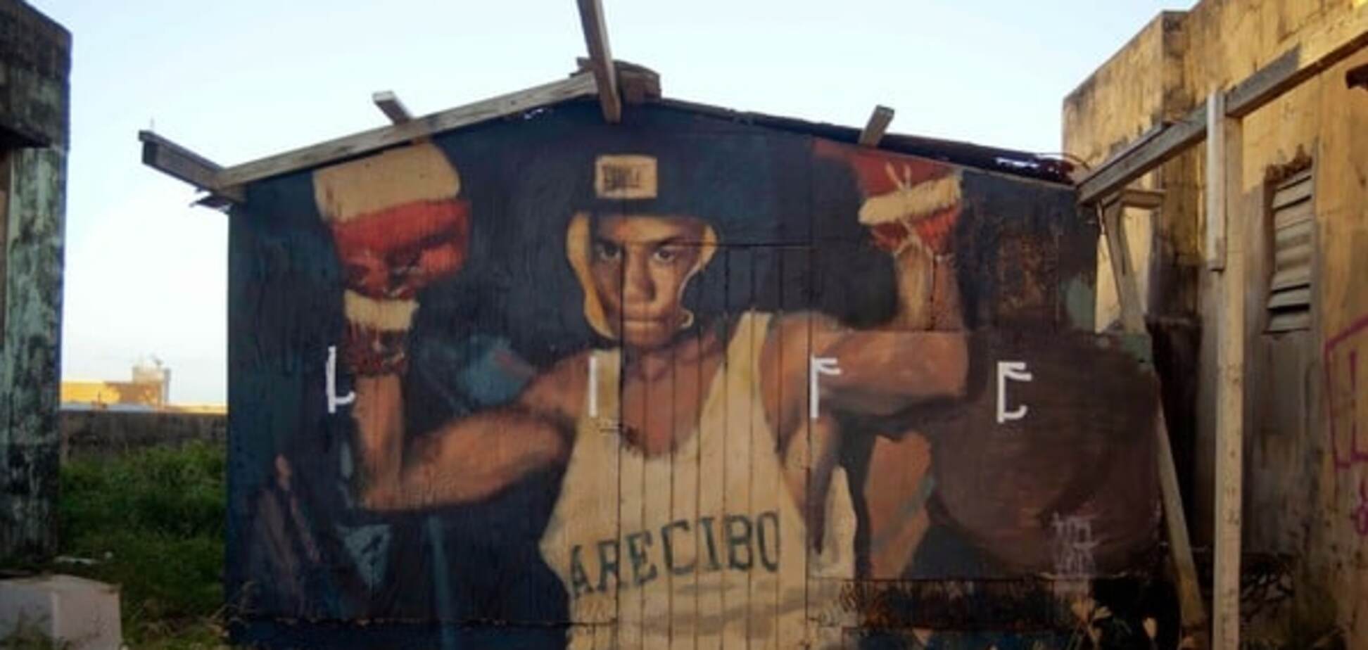 Уличный художник создает реалистичные картины на улицах Майами