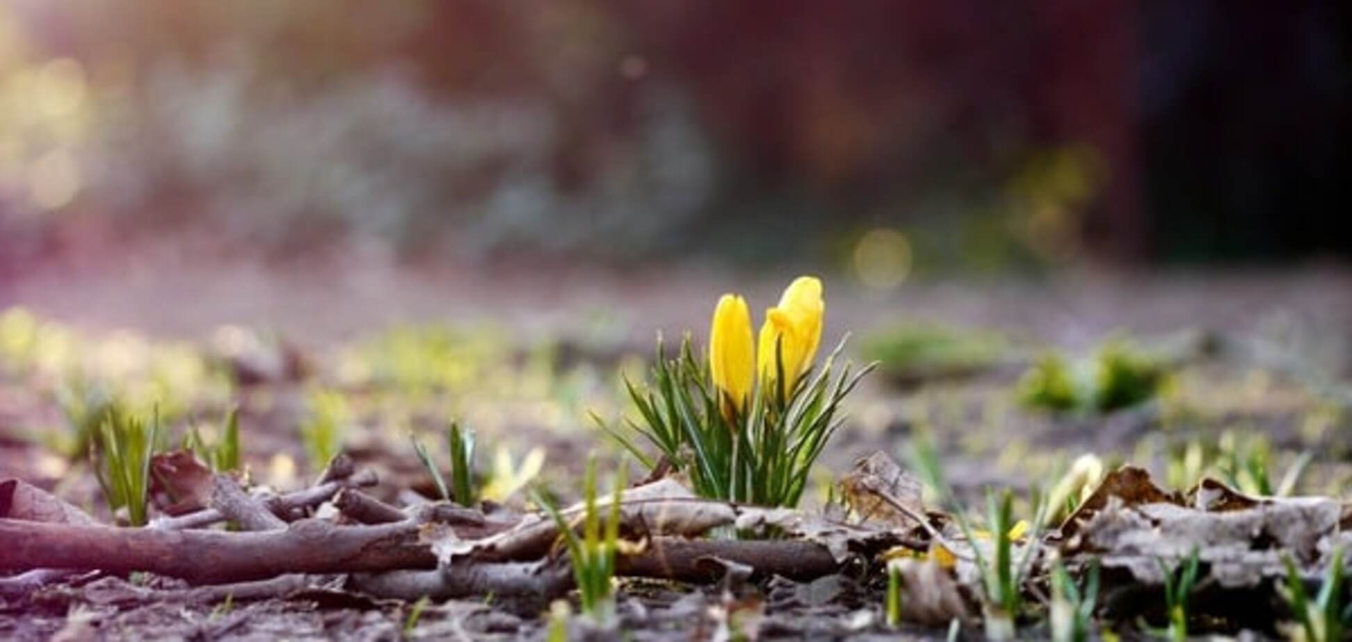 Прогноз погоды