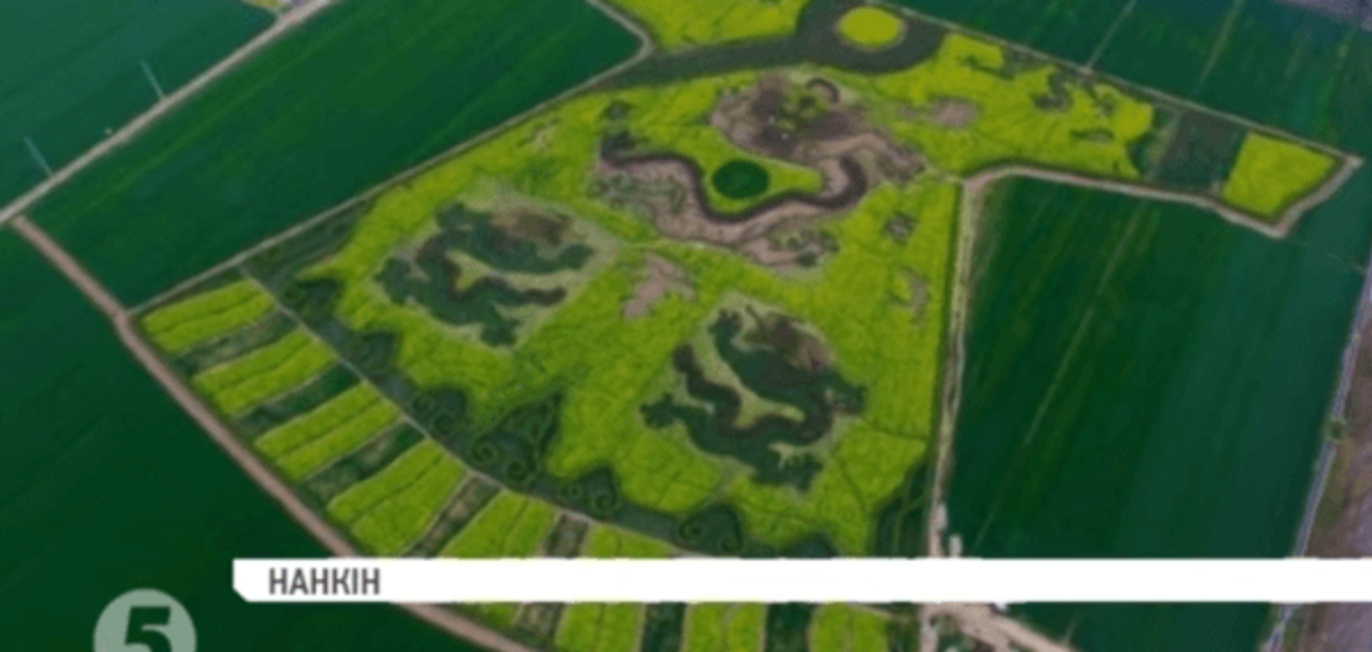 Китай будет завлекать туристов гигантскими картинами на рисовых полях