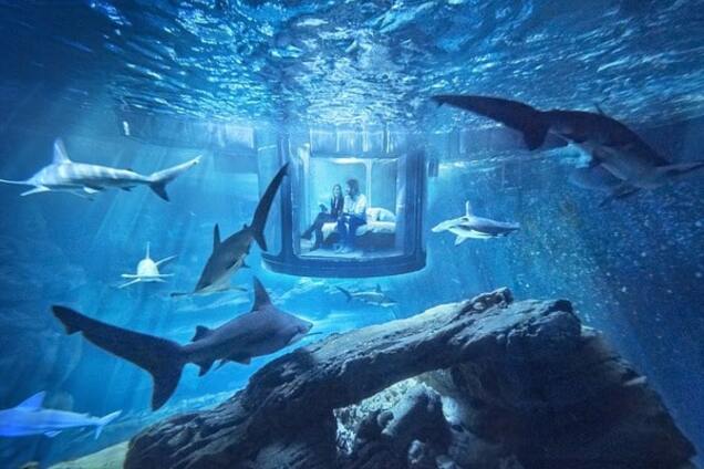 Океанариум Парижа