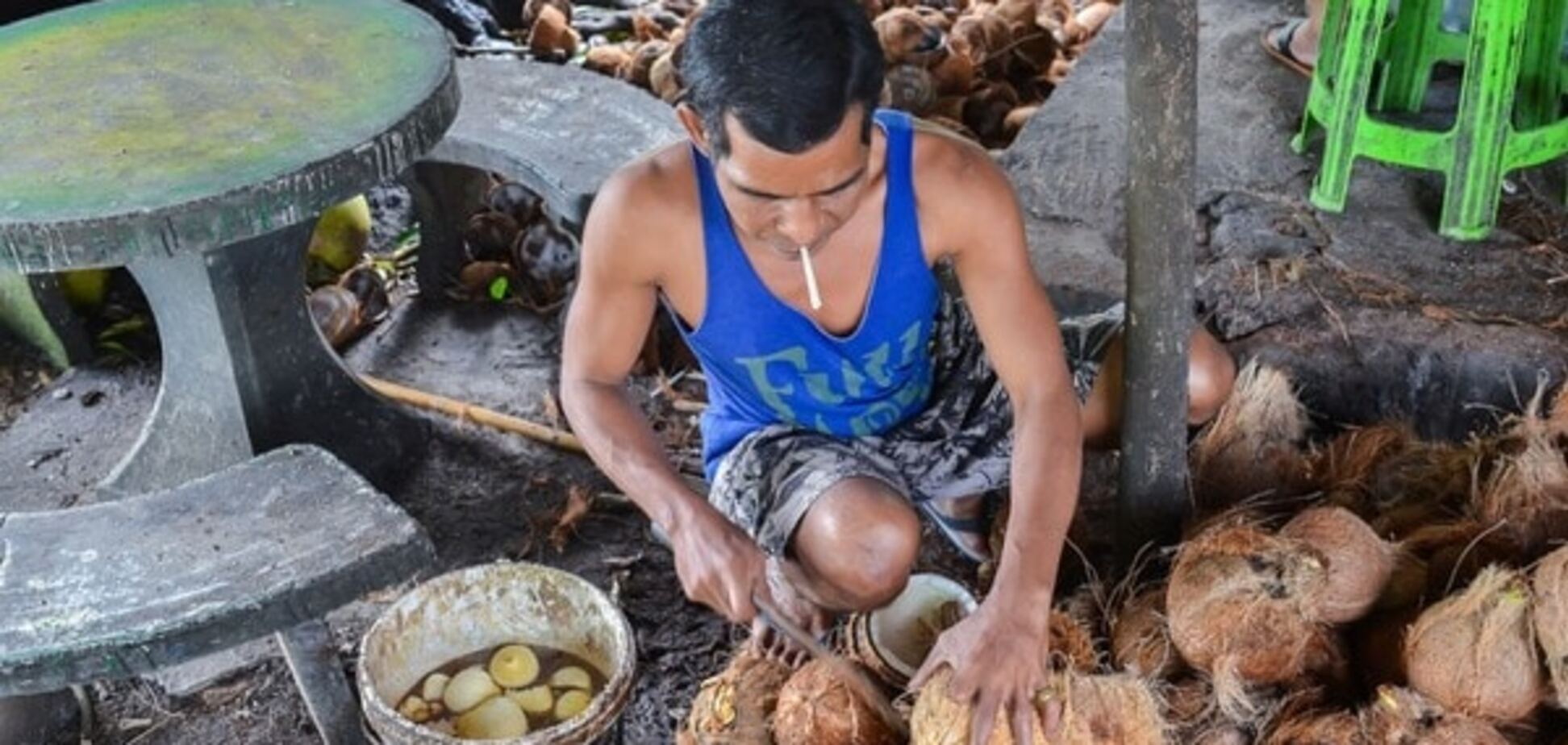 Путешествие в Таиланд: как добывают знаменитое кокосовое молоко