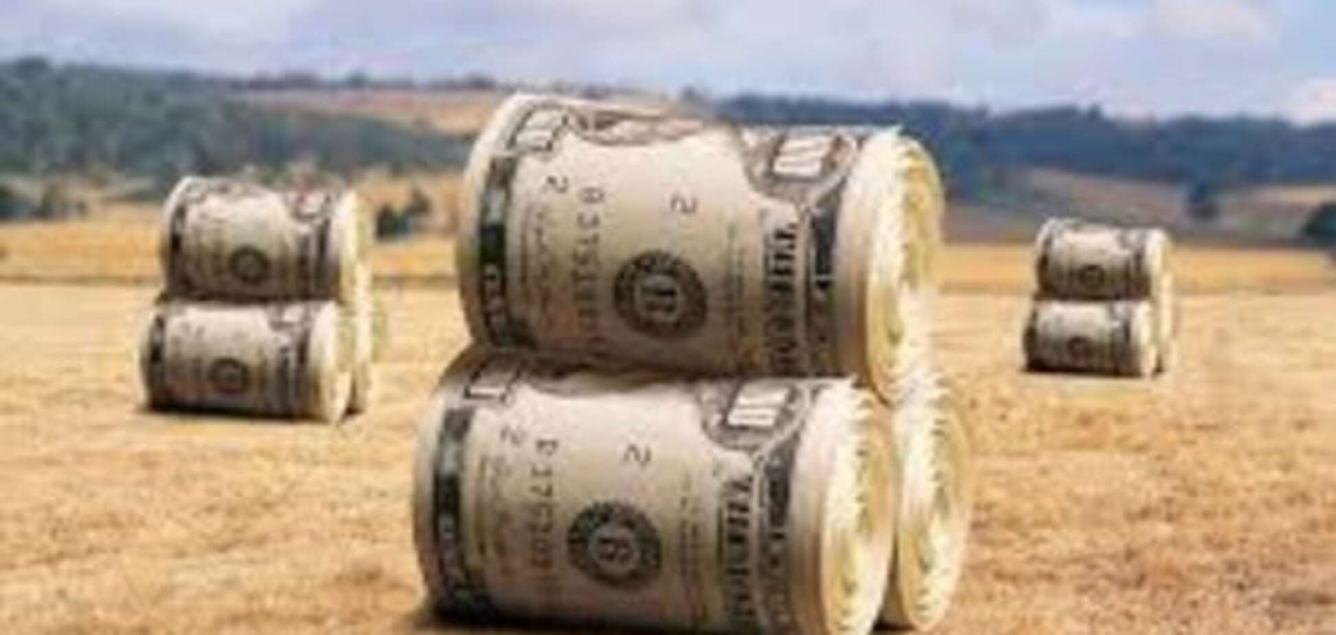 Пора сдаваться в плен: эксперты рассказали о рисках продажи сельхозземель