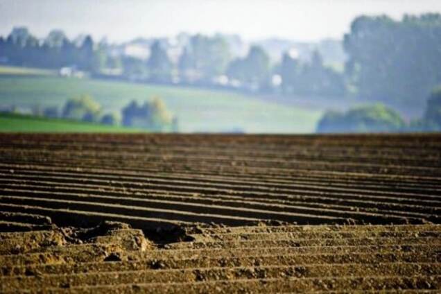 Земельні пристрасті: основні міфи про небезпеку дозволу на продаж землі