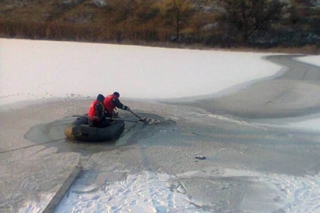Киевлянин утонул, пытаясь спасти свою собаку