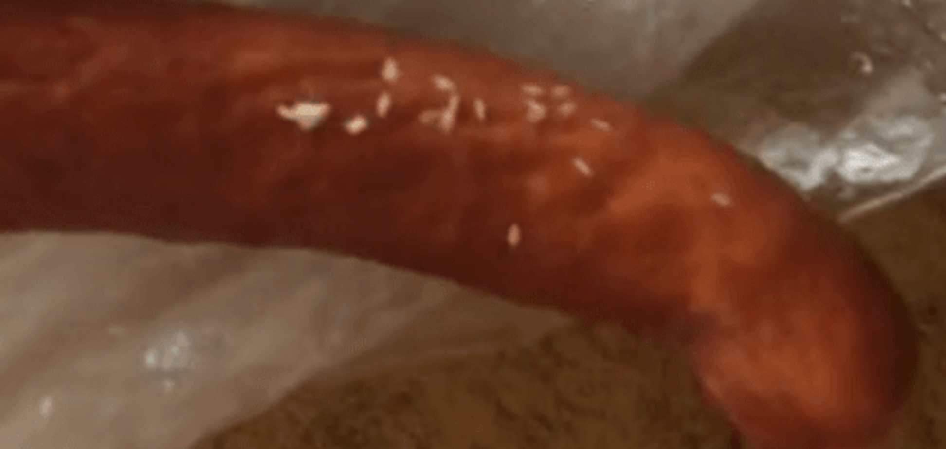 'Еда оккупанта': житель Севастополя обнаружил в сосисках личинки опарышей