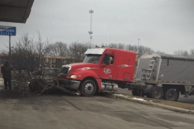 В США пес за рулем фуры снес легковушку и дерево. Видеофакт