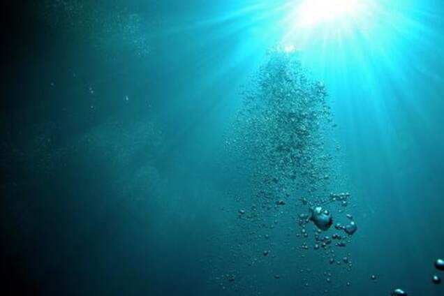 Ученые обнаружили привидение на дне Тихого океана. Фотофакт