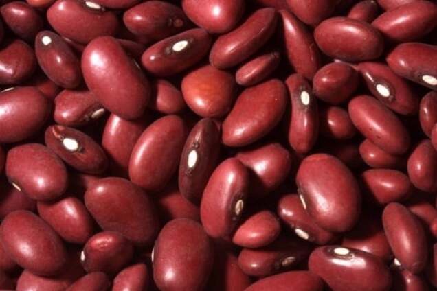 Диета для похудения