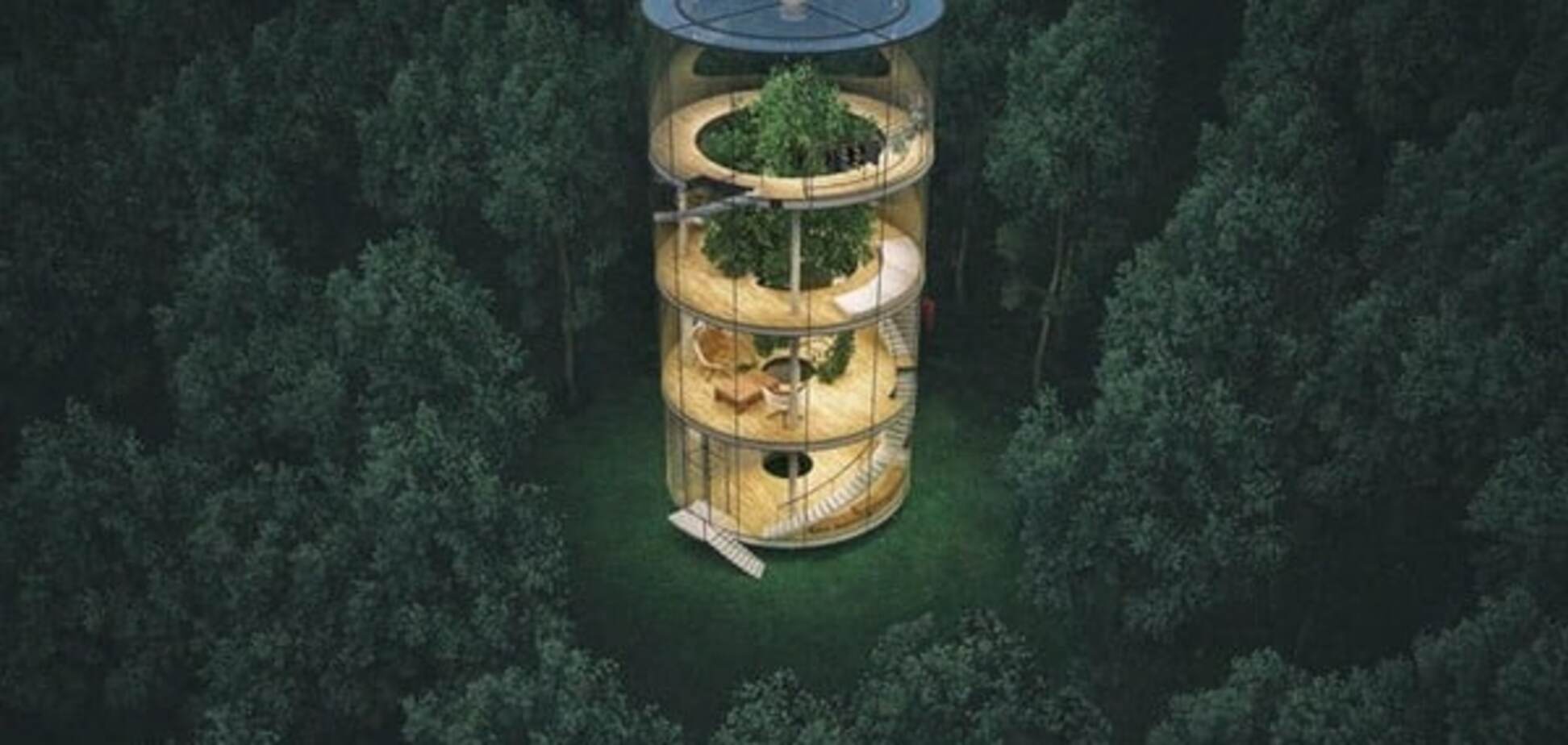 Cтеклянный дом вокруг дерева