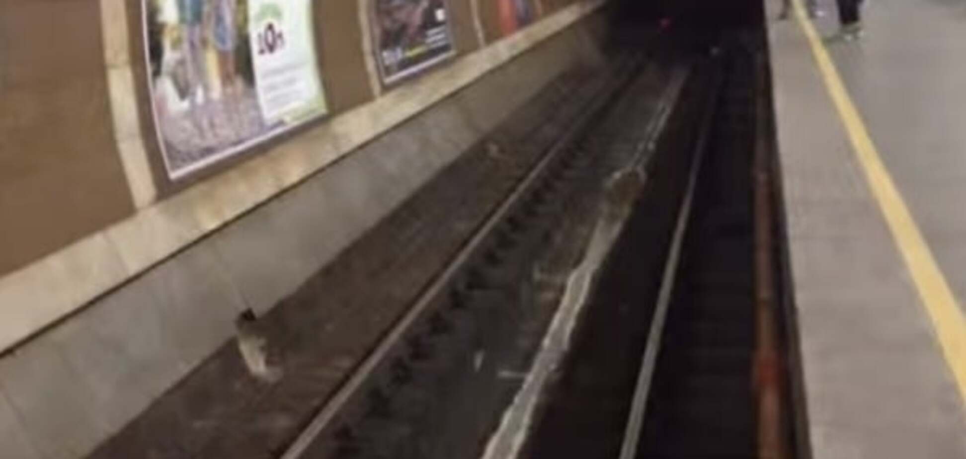 НП у київському метро: очевидці намагалися зупинити поїзд, але безуспішно