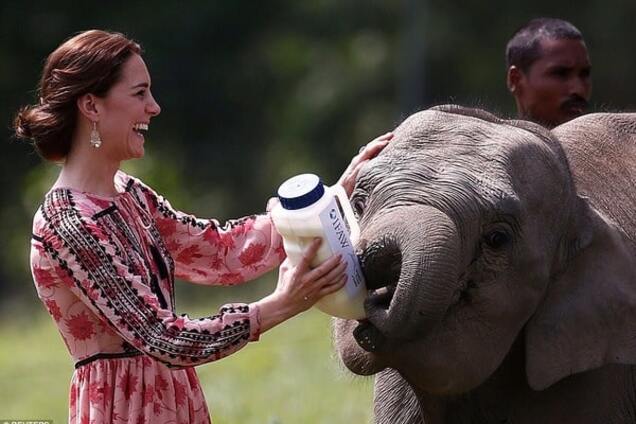 Кейт Миддлтон