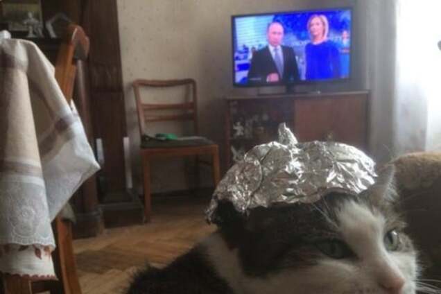 Путин приколы