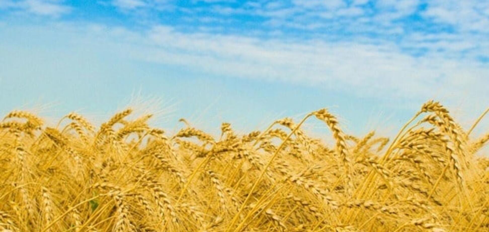 Украинская земля