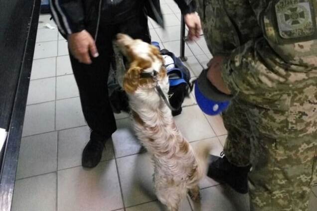 наркотики в трусах