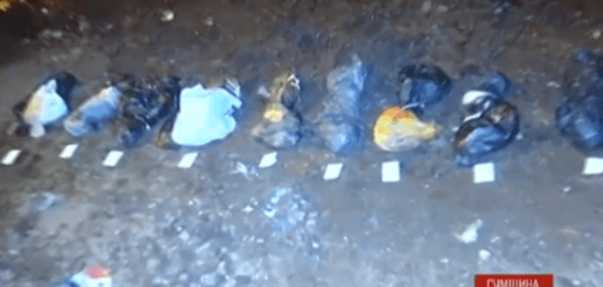 На Сумщине нашли человеческие конечности