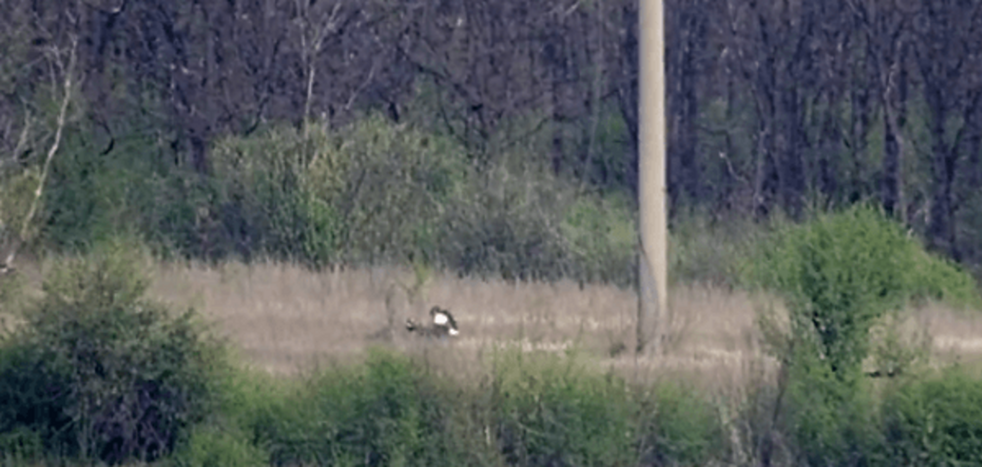 Украинский снайпер победил снайпера-террориста