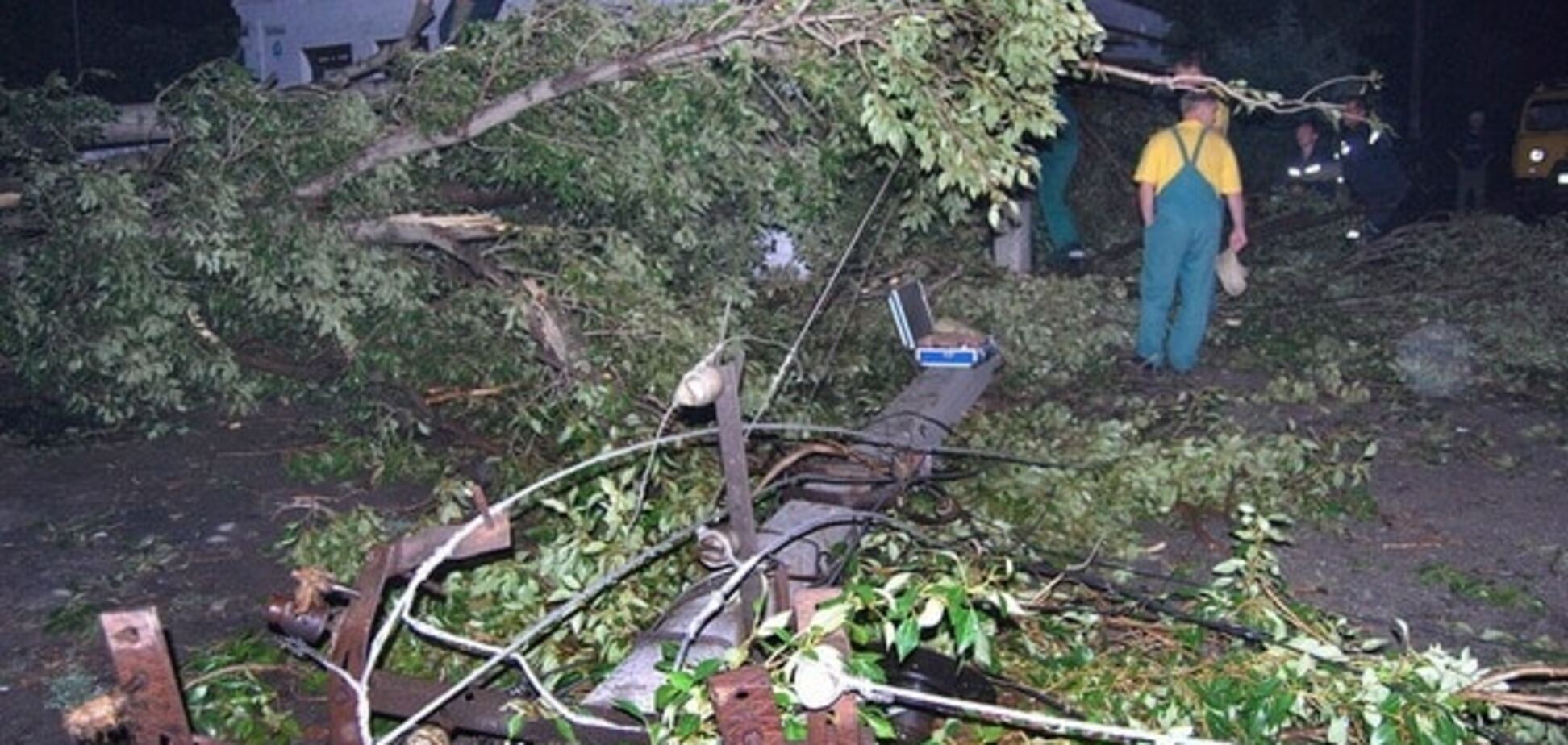 В Україні через буревій і вітер 41 населений пункт залишився без світла