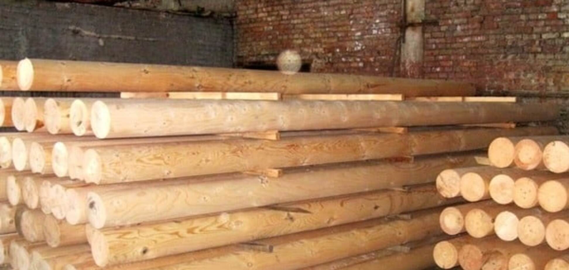 Мораторій на вивезення деревини з України: фахівці назвали варіанти компромісу 