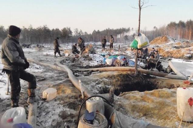 Бандитський видобуток бурштину: еколог Борейко заявив про знищення лісів та водойм