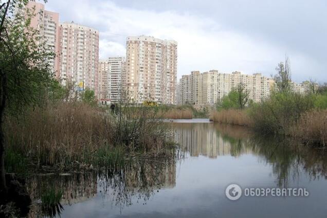 Озеро Качине у Києві може зникнути під будівництвом: опубліковані фото 