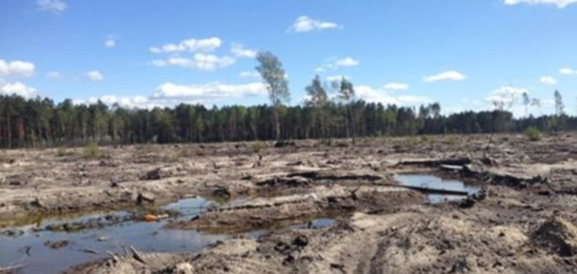 'Янтарные клондайки опустели': журналист показал, как выглядят пустоши Ривненщины
