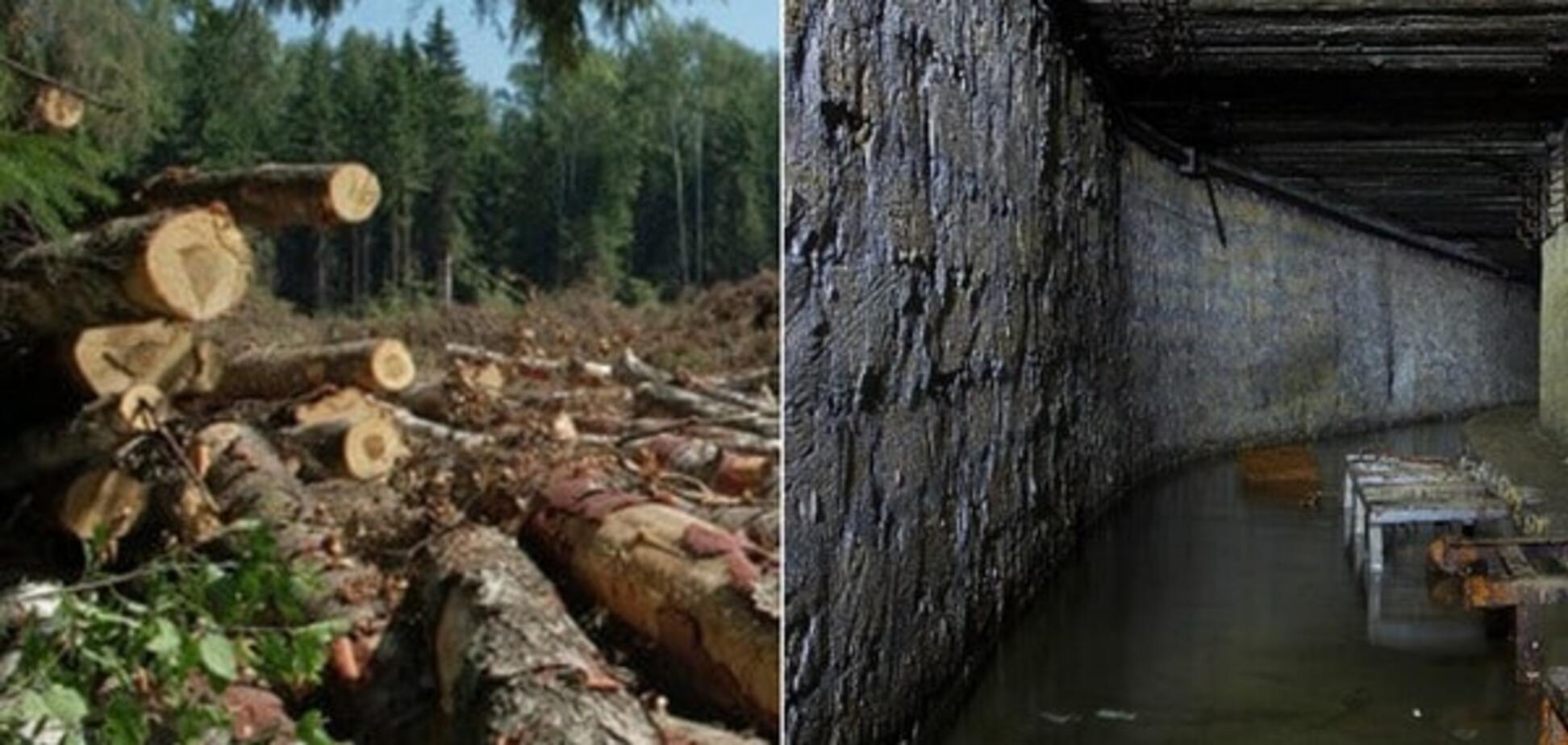 рубка шахта