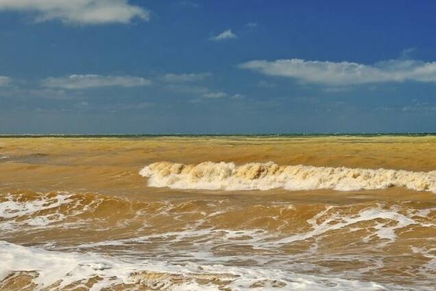 желтое море