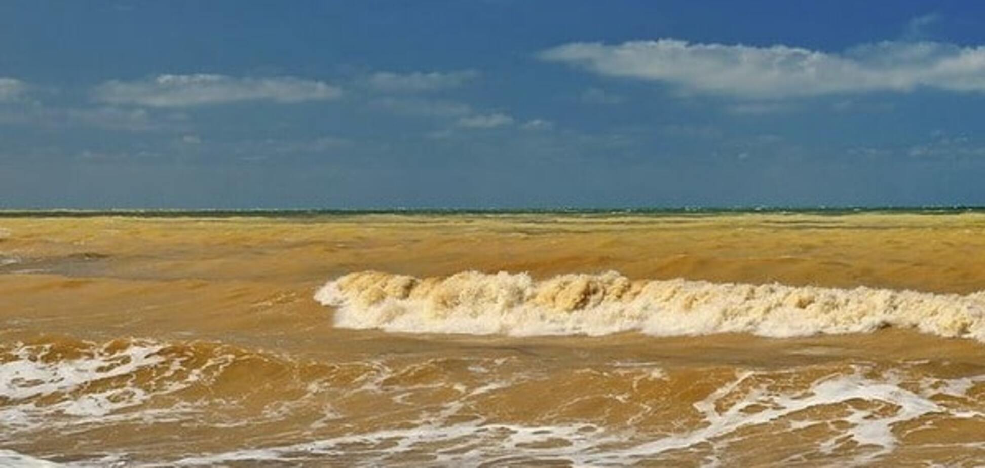желтое море