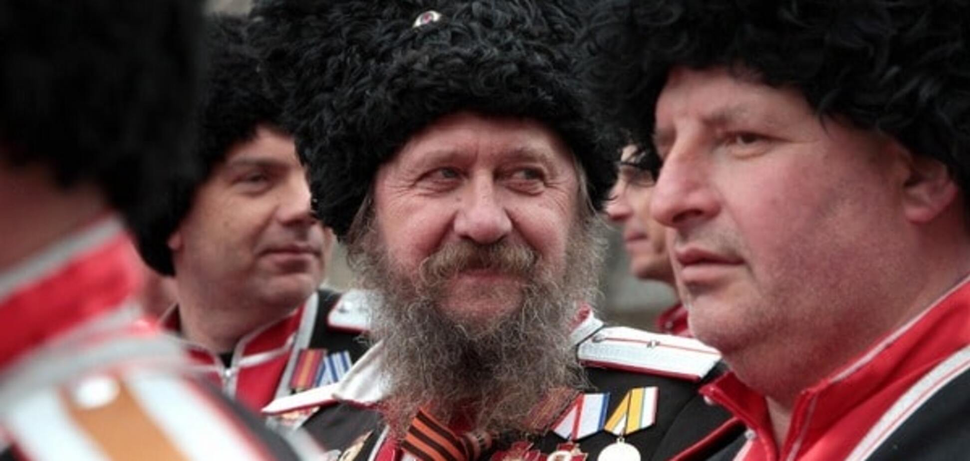 Кубанские казаки