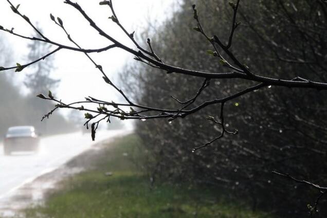 Гроза и дожди: синоптики рассказали о погоде в Украине в начале недели