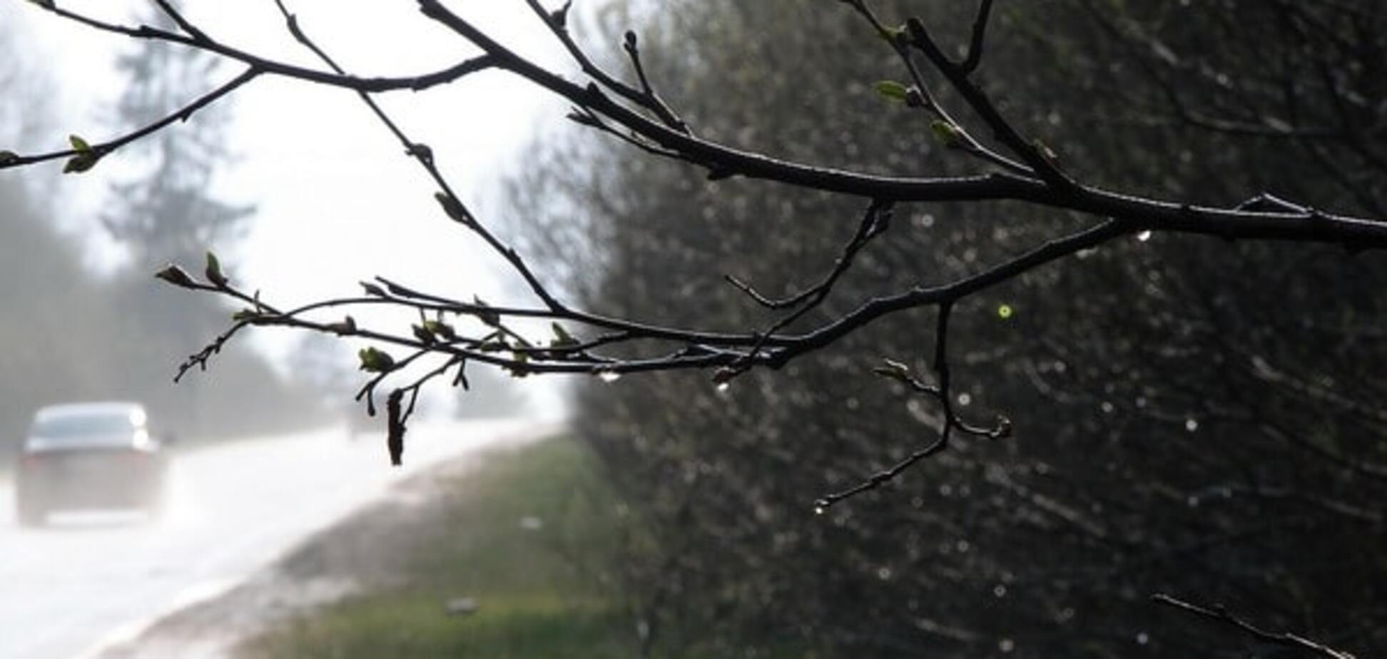 Гроза і дощі: синоптики розповіли про погоду в Україні на початку тижня