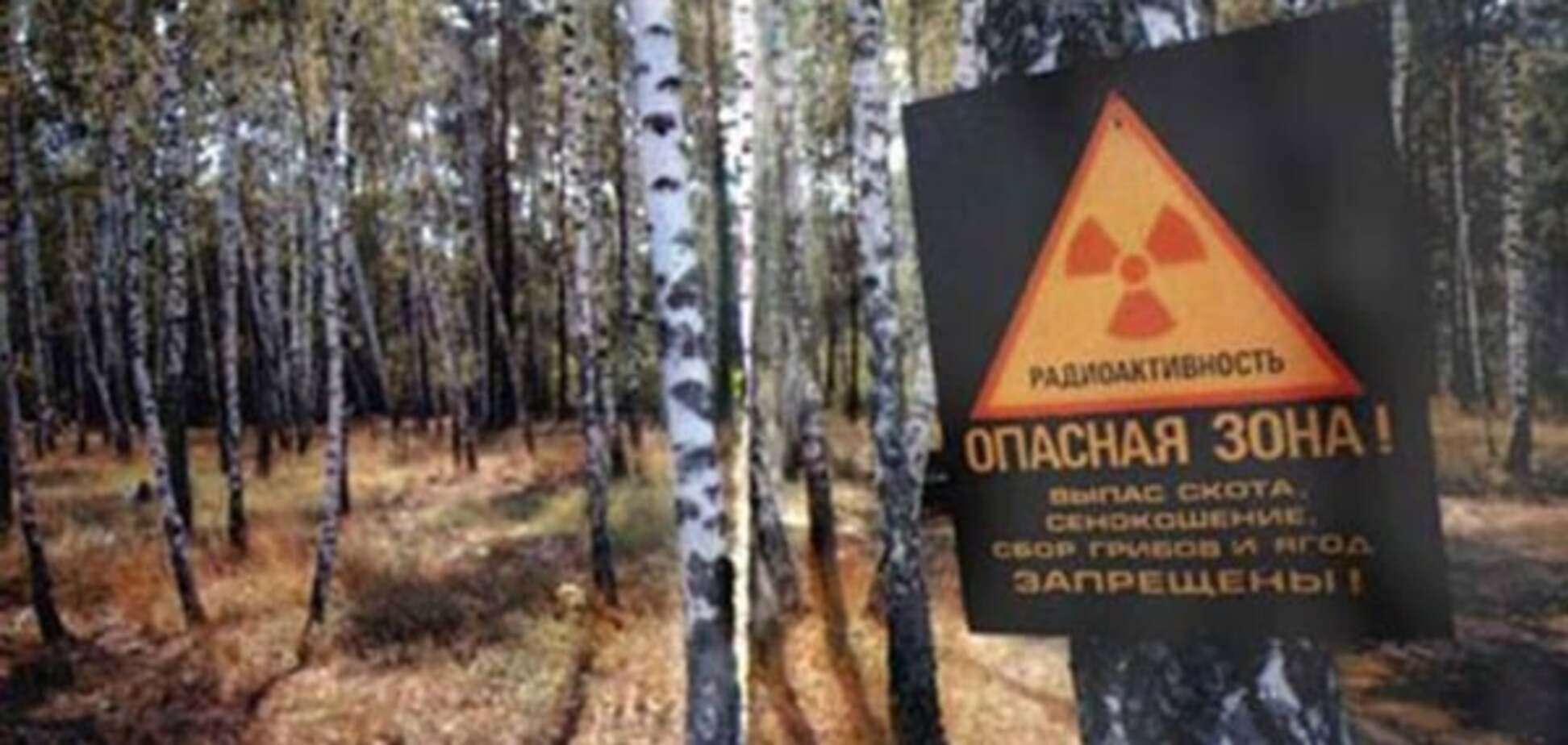 Період напіврозпаду: Ольга Кошарна про сьогоднішню ситуацію в 'зоні'