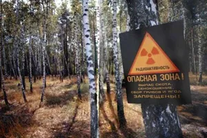 Період напіврозпаду: Ольга Кошарна про сьогоднішню ситуацію в "зоні"