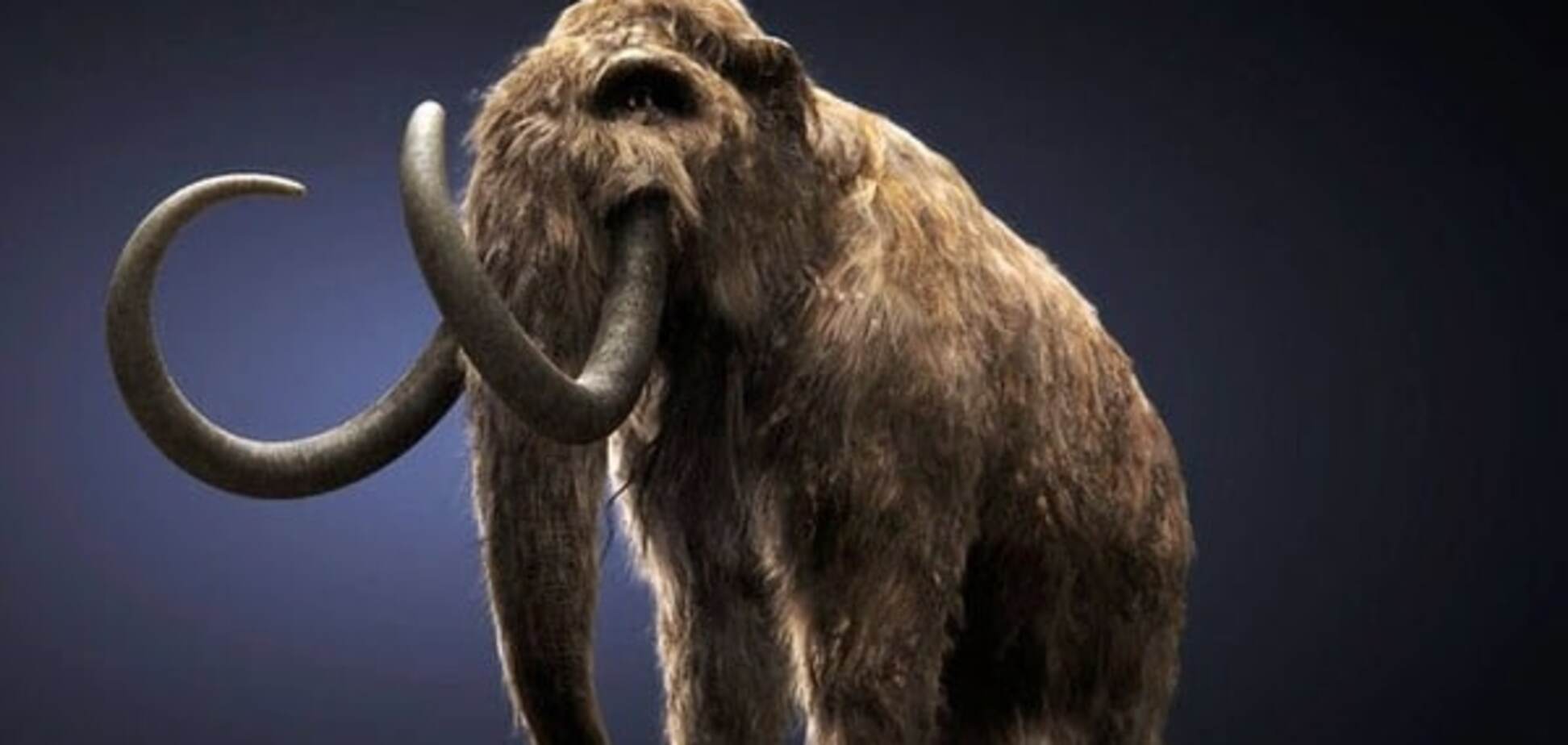 Дивовижна знахідка: житель Дніпропетровщини виявив у себе в городі гігантського мамонта