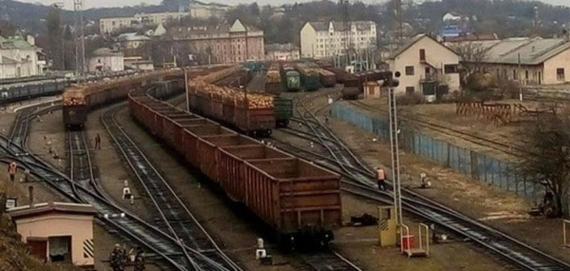 Контрабанда леса